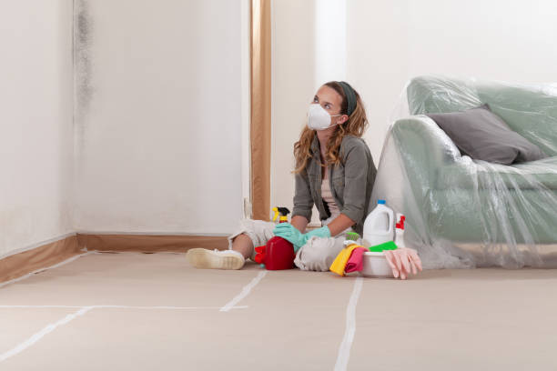 Reliable Mold Remediation contractor in Beverly, MA by 24 Hour Mold Removal